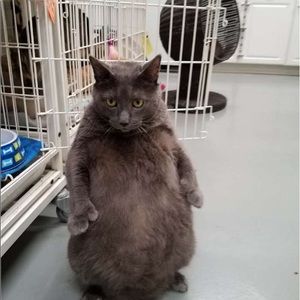 Meet your Posher, Cristian